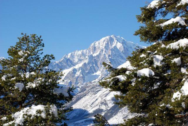 Appartamento Monte Bianco La Salle Ngoại thất bức ảnh
